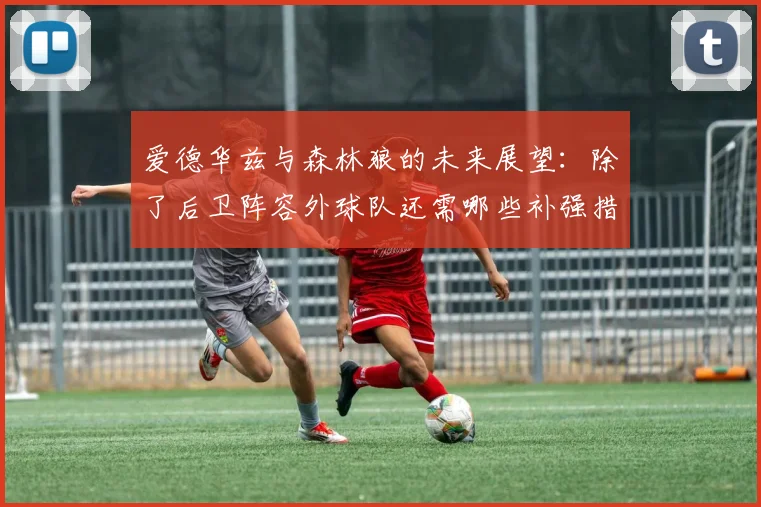 爱德华兹与森林狼的未来展望：除了后卫阵容外球队还需哪些补强措施
